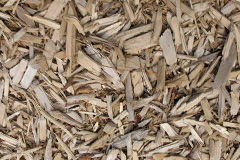 biomass boilers Pategill